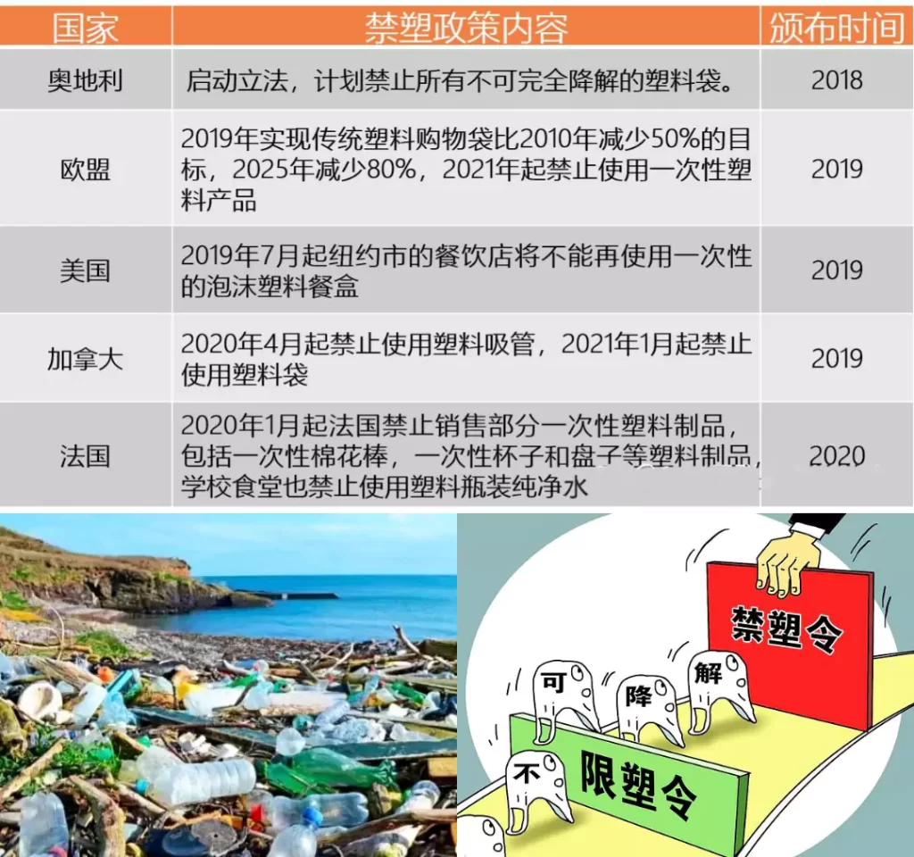 环保包装需求激增!国内外需求双爆发,纸浆模塑迎发展黄金期插图2 环保包装需求激增!国内外需求双爆发,纸浆模塑迎发展黄金期插图2